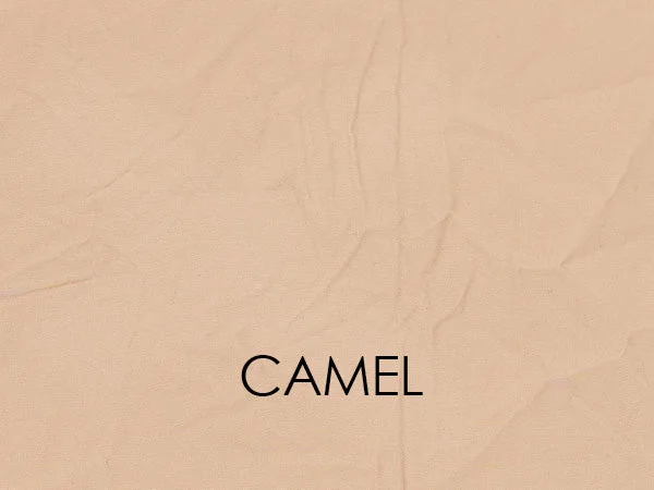 CAMEL